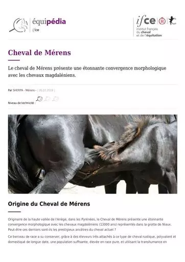 Cheval de Merens