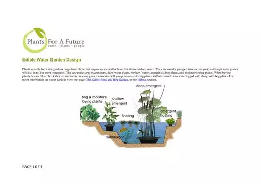 Edible water garden design