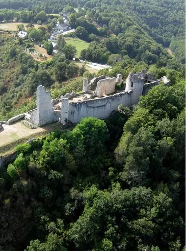 Châteaux et prieurés de Cluny   Lafaye