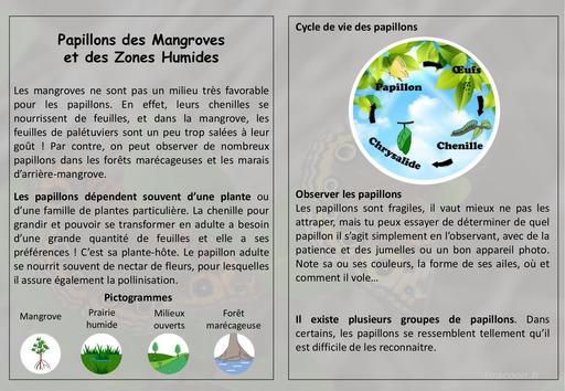 Mini Guide Papillons des mangroves zones humides