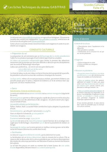 Colza bio