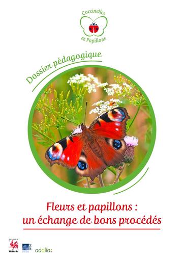Dossier Fleurs Et Papillons ecole