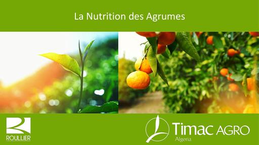 Nutrition des agrumes Algerie