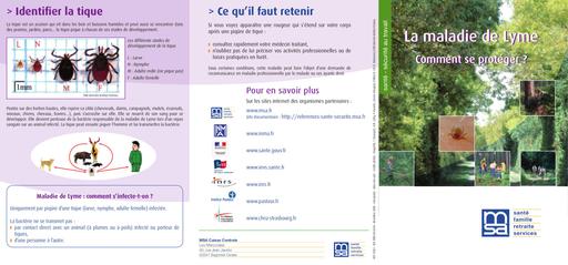 Borreliose Lyme