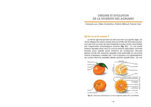 Origine et evolution   diversité des agrumes