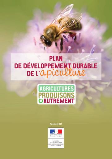 Plan developpement apiculture vf