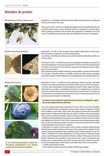 Guide arboriculture   maladies du prunier