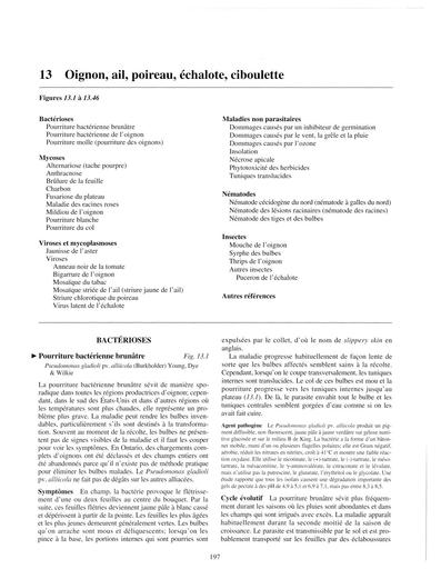 Ch13 oignon