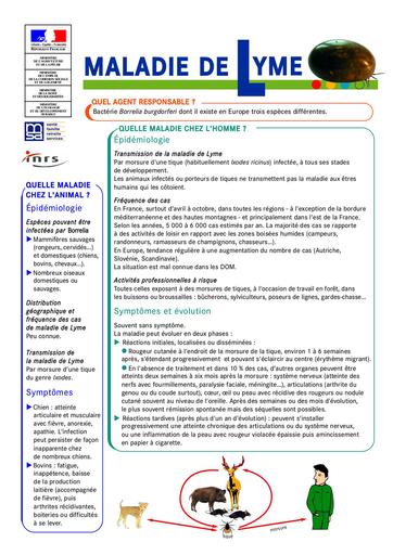 Lyme 1 2 06 1