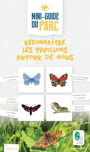 Mini guide papillons