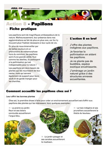Action 8 Papillons