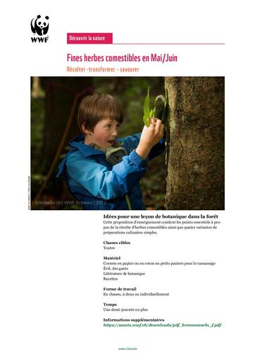 Materiel pedagogique fines herbes comestibles WWF