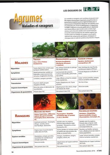 2017 Agrumes Fruittrop N°245