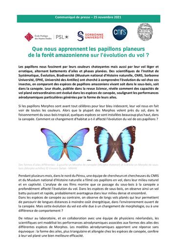 Vol papillon Amazonie VF communique