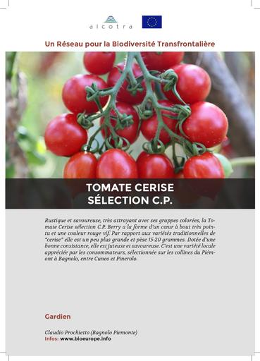 Fiche information tomate cerise selection cp