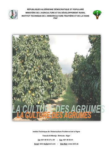 La culture des agrumes algerie